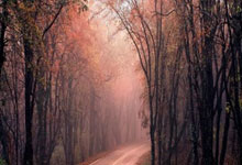 南特客场不敌里昂，遭遇失败