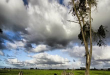 匈牙利逆袭列支敦士登，欧预赛晋级战报