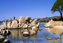 泰达逆袭：天津泰达队在比赛中取得胜利，实现了反击