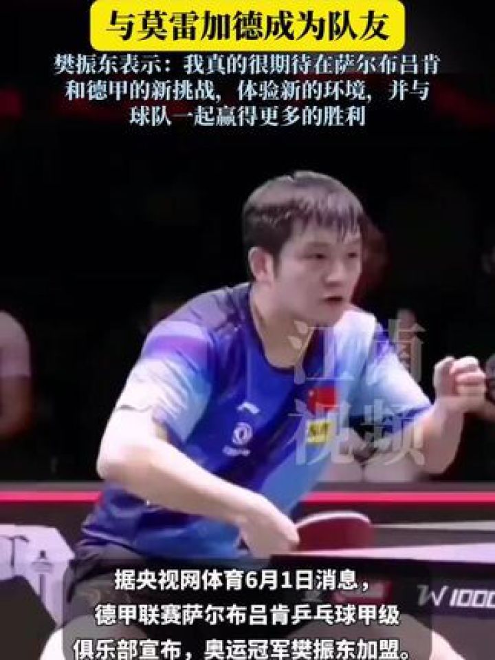 吃相难看！加盟德甲后俱乐部开始杀鸡取卵，樊振东已成为赚钱工具(樊振东要转上海队吗)